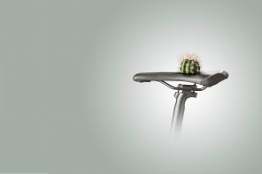 a cactus on a bike seata
